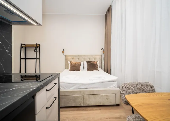 Airport-bus - 13 North - Comfort 4 塔林